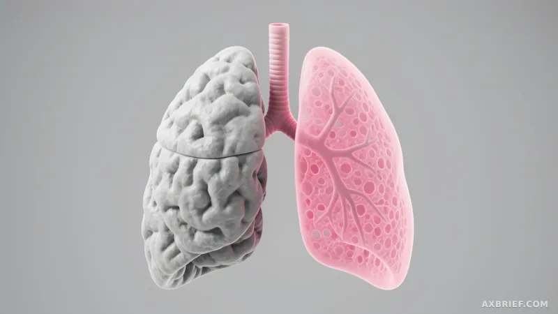 Why ID1 and ID3 Protein Inhibition Could Reverse Lung Fibrosis